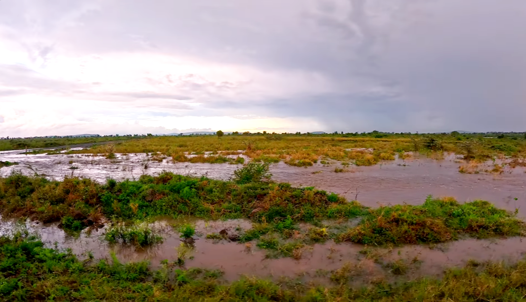 The Mavoko Response: Navigating the Athi River Crisis